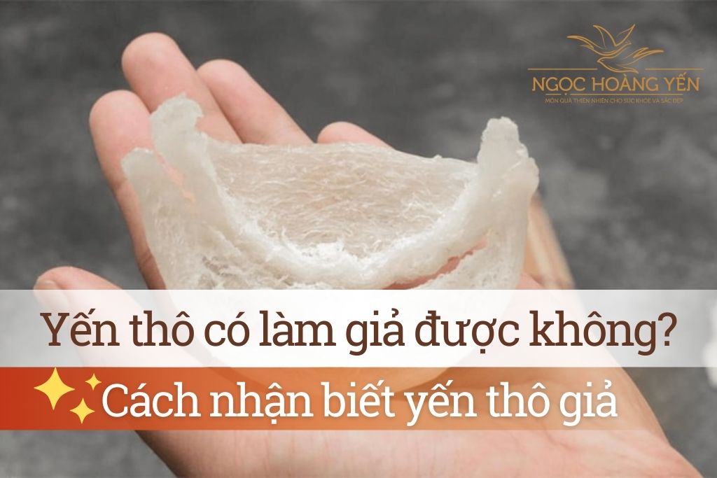 Yến thô có làm giả được không? Cách nhận biết yến thô giả