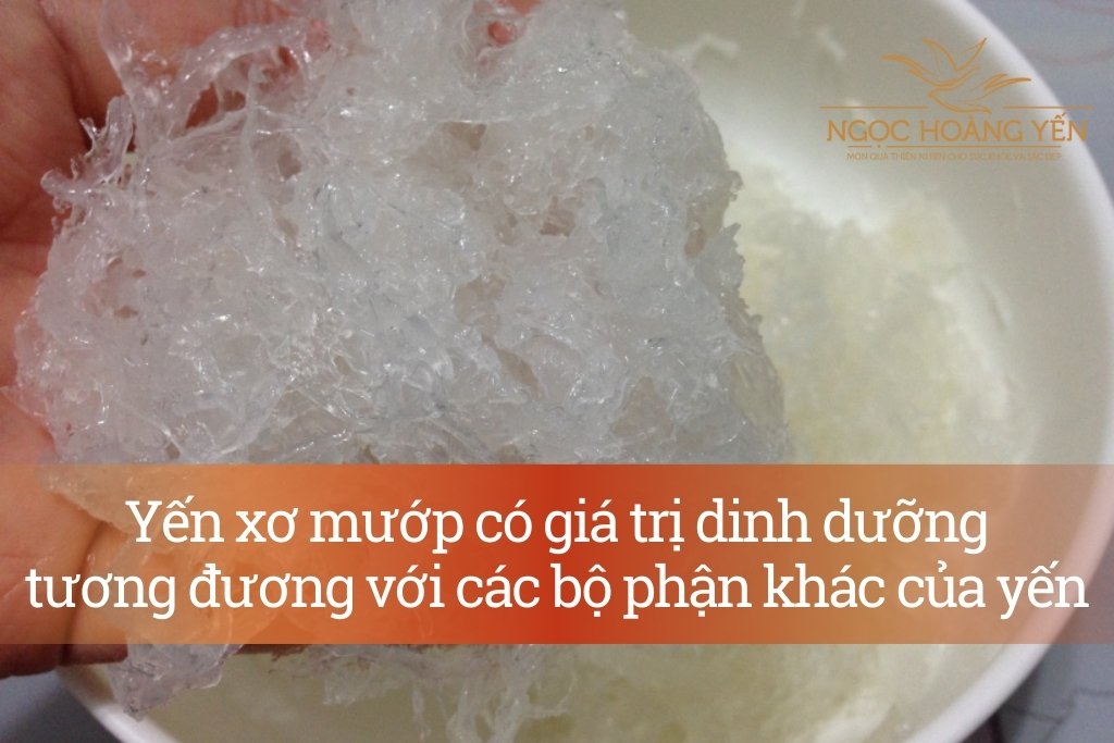 Yến xơ mướp có giá trị dinh dưỡng tương đương với các bộ phận khác của tổ yến