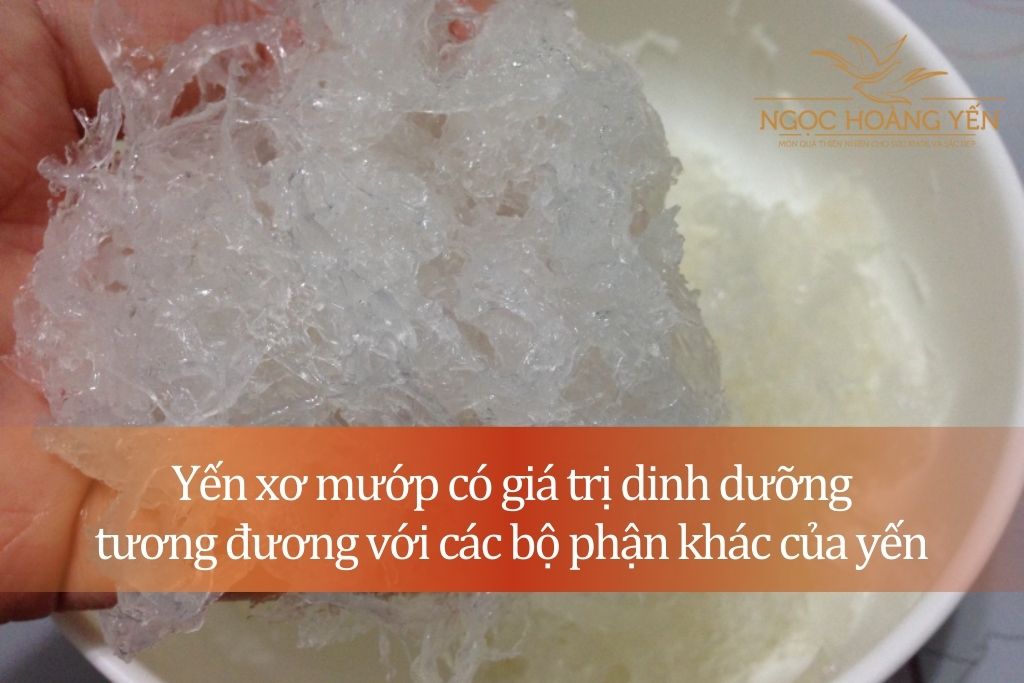 Yến xơ mướp có giá trị dinh dưỡng tương đương với các bộ phận khác của tổ yến