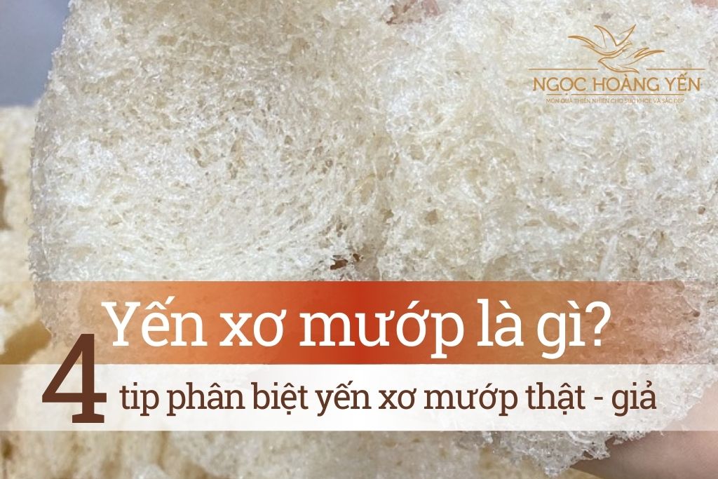 Yến xơ mướp là gì? 4 tip phân biệt yến xơ mướp thật - giả