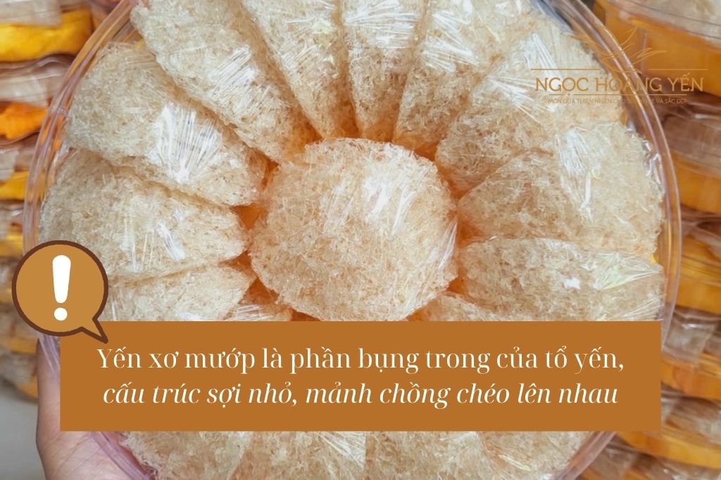 Yến xơ mướp là phần bụng trong của tổ yến, cấu trúc sợi nhỏ, mảnh chồng chéo lên nhau