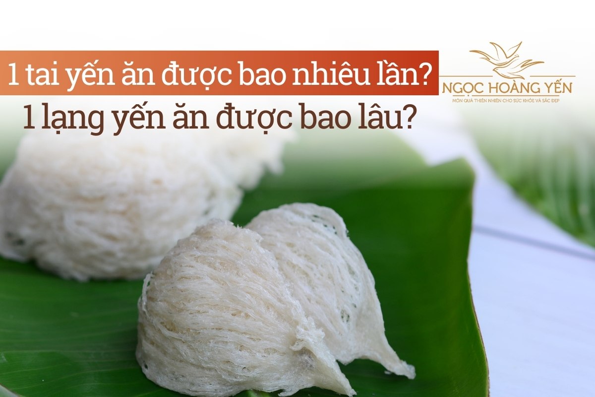 1 tai yến ăn được bao nhiêu lần? 1 lạng yến ăn được bao lâu?