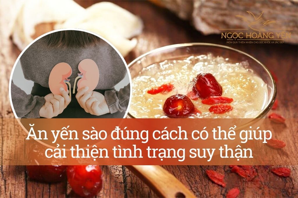 Ăn yến sào đúng cách có thể giúp cải thiện tình trạng suy thận