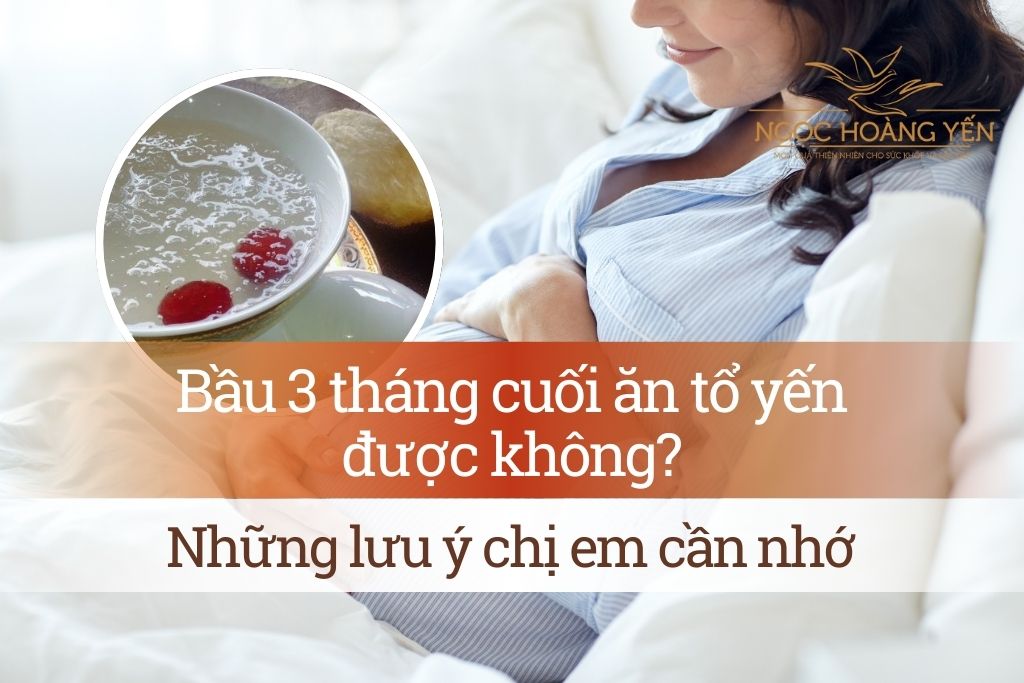 Bầu 3 tháng cuối ăn tổ yến được không? Những lưu ý chị em cần nhớ