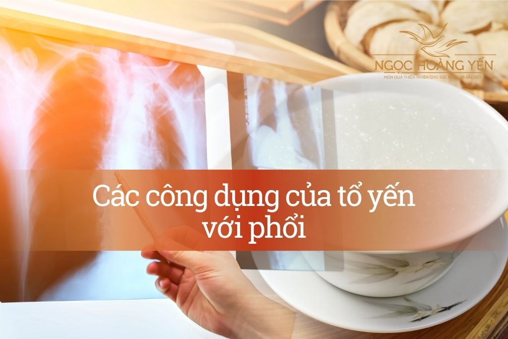 Các công dụng của tổ yến với phổi