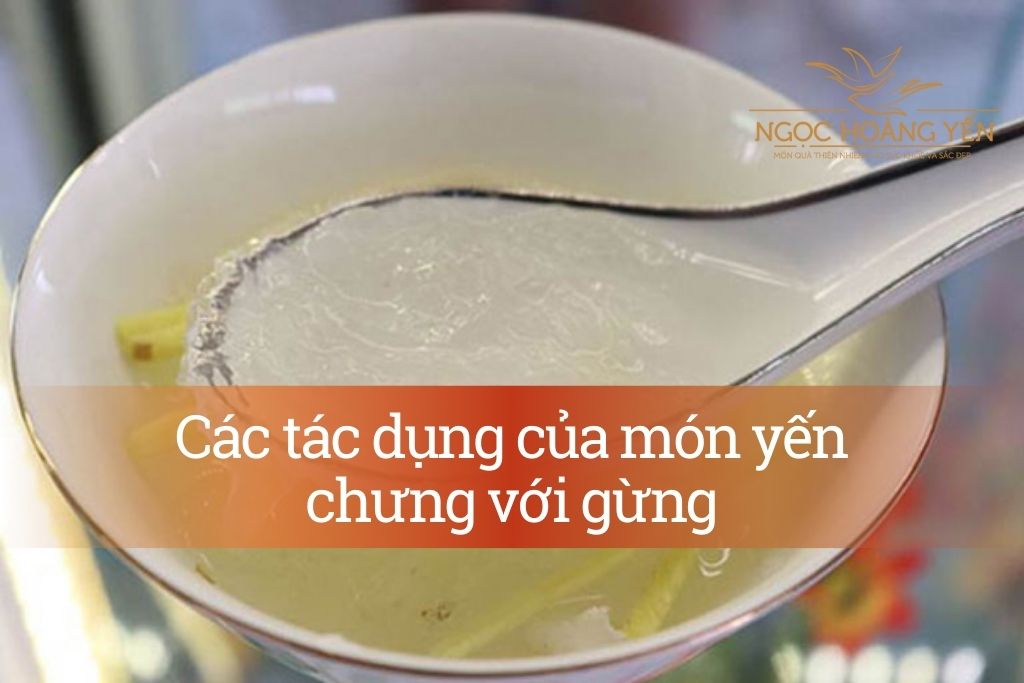 Các tác dụng của món yến chưng với gừng