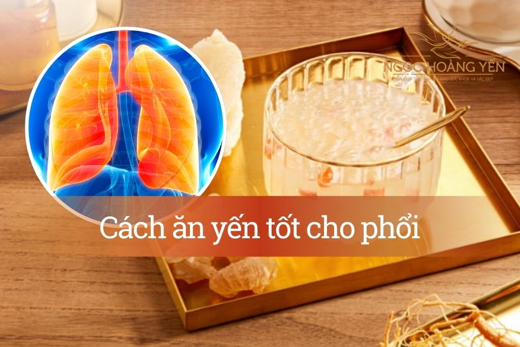 Cách ăn yến tốt cho phổi