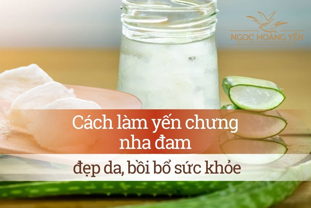 Cách làm yến chưng nha đam đẹp da, bồi bổ sức khỏe