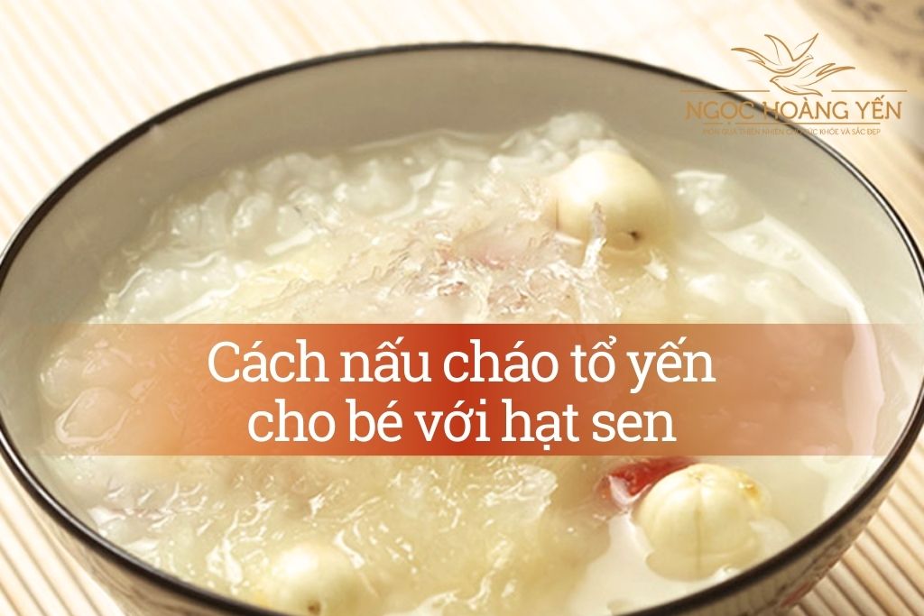 Cách nấu cháo tổ yến cho bé với hạt sen