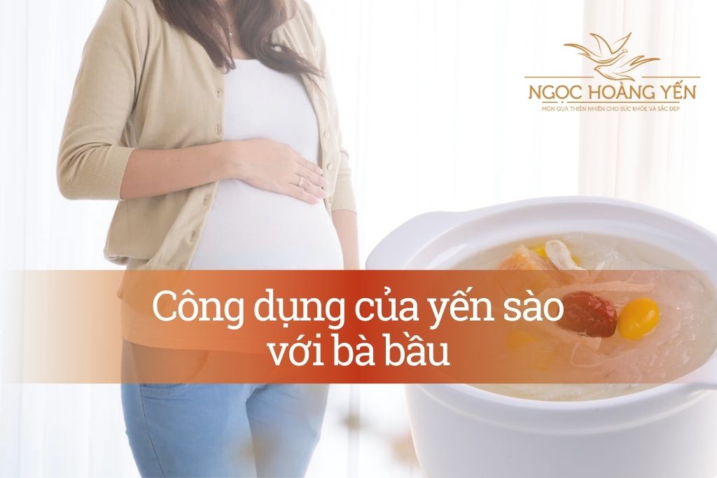 Công dụng của yến sào với bà bầu