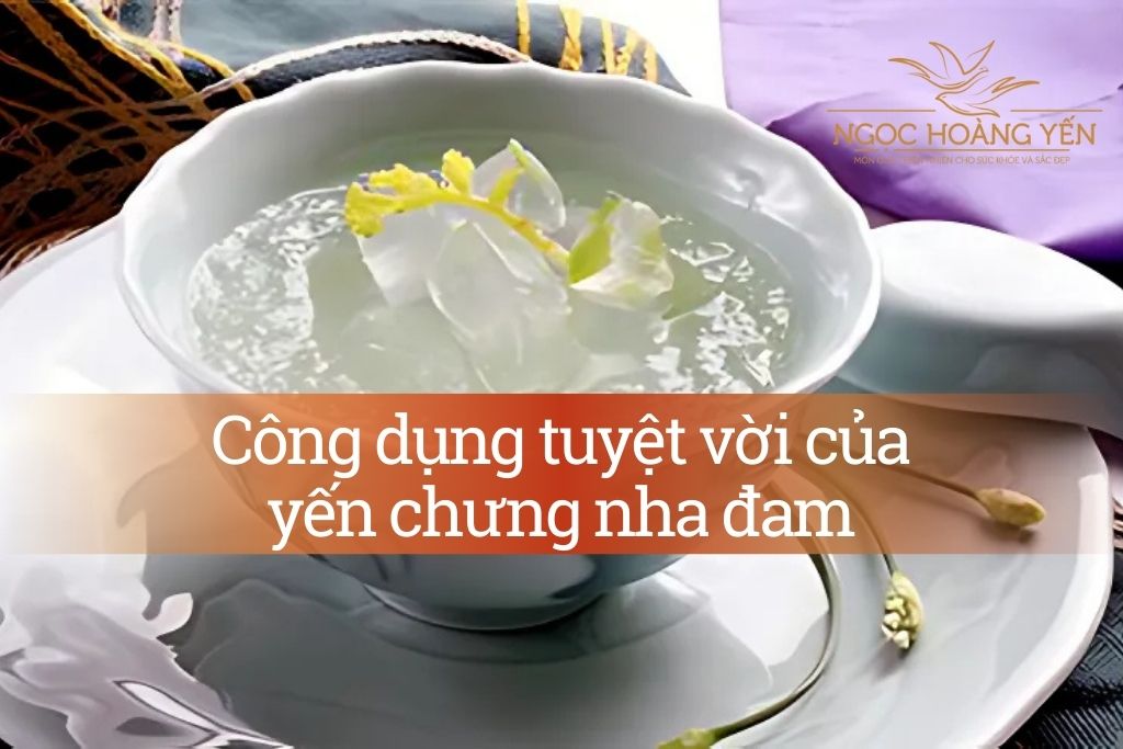 Công dụng tuyệt vời của yến chưng nha đam