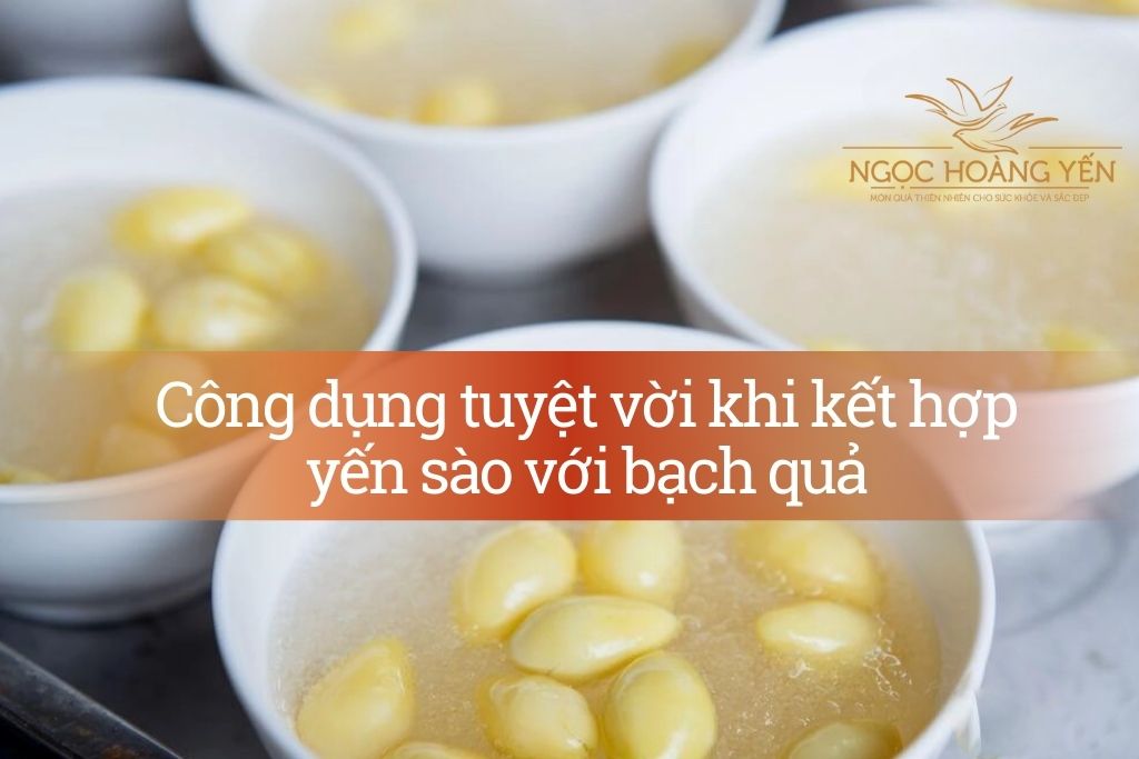 Công dụng tuyệt vời khi kết hợp yến sào với bạch quả