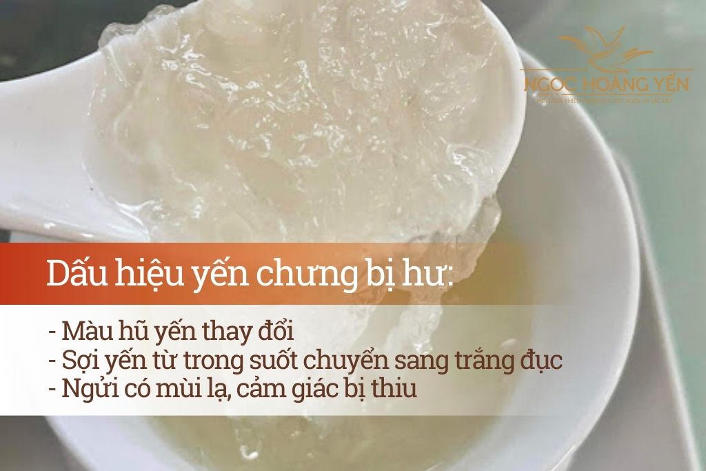 Dấu hiệu yến chưng bị hư