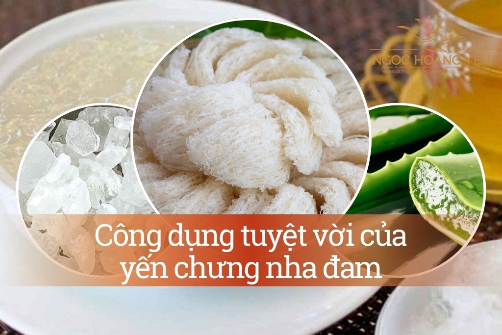 Hướng dẫn cách làm yến chưng nha đam đường phèn