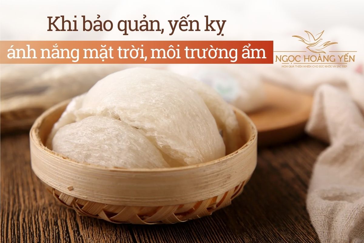 Khi bảo quản, yến kỵ ánh nắng mặt trời, môi trường ẩm
