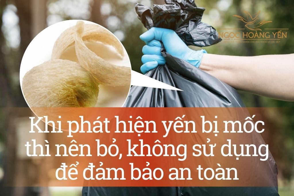 Khi phát hiện yến bị mốc thì nên bỏ, không sử dụng để đảm bảo an toàn