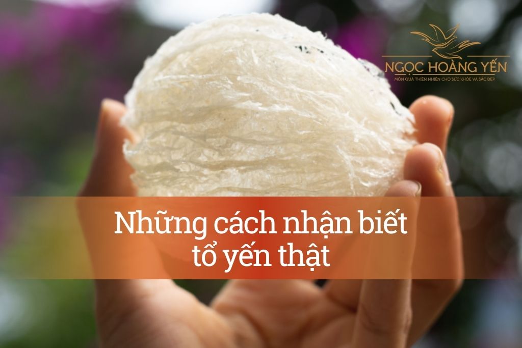 Những cách nhận biết tổ yến thật