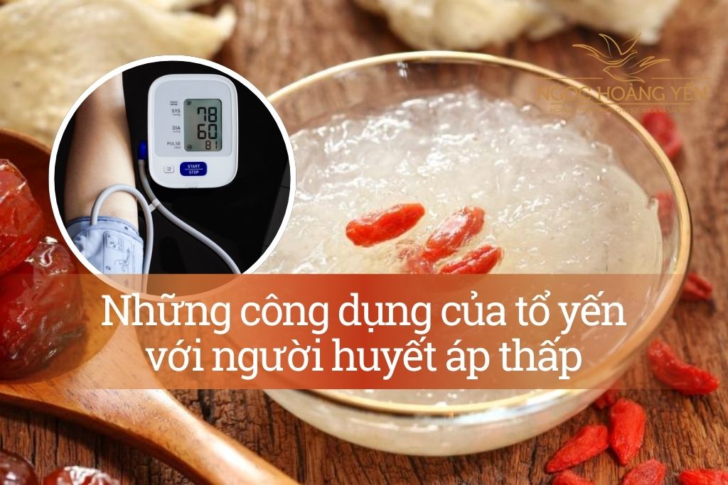 Những công dụng của tổ yến với người huyết áp thấp