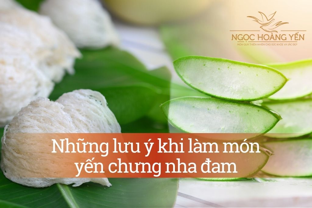 Những lưu ý khi làm món yến chưng nha đam