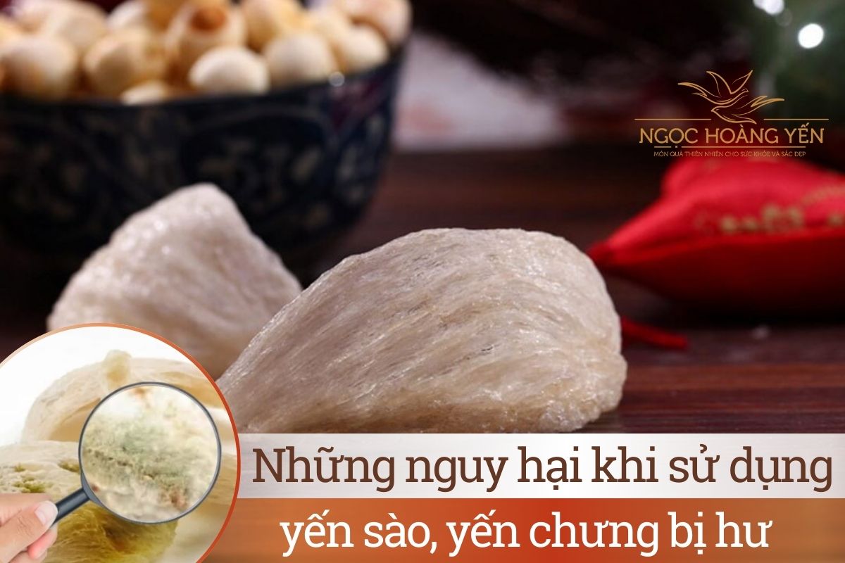 Những nguy hại khi sử dụng yến sào, yến chưng bị hư