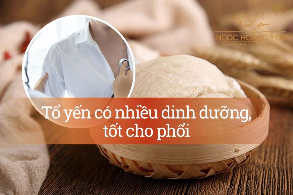 Tổ yến có nhiều dinh dưỡng, tốt cho phổi