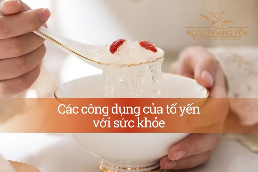 Các công dụng của tổ yến với sức khỏe