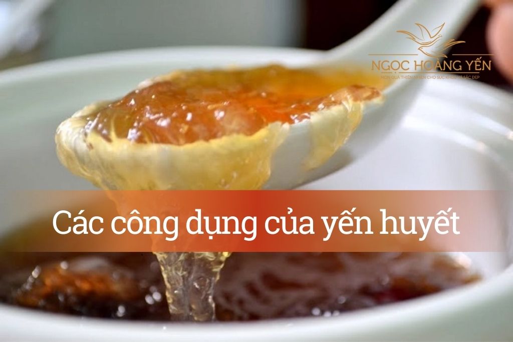 Các công dụng của yến huyết