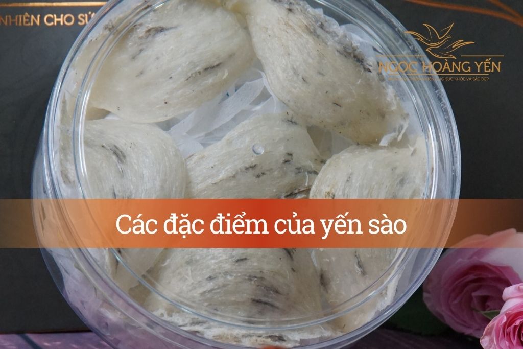 Các đặc điểm của yến sào