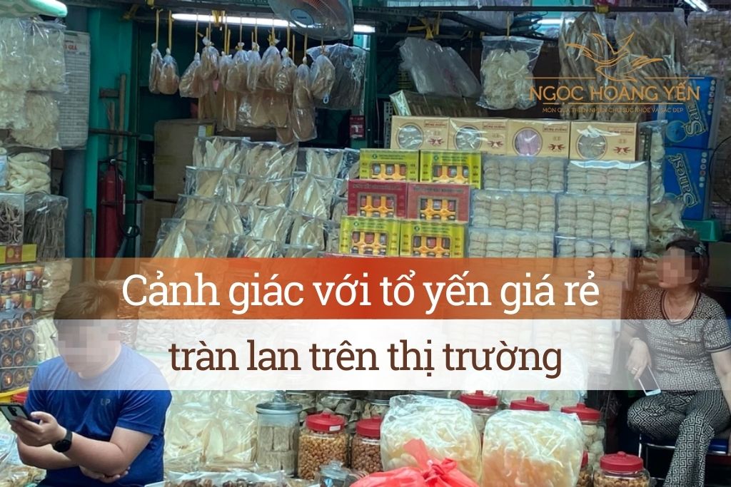 Cảnh giác với tổ yến giá rẻ tràn lan trên thị trường