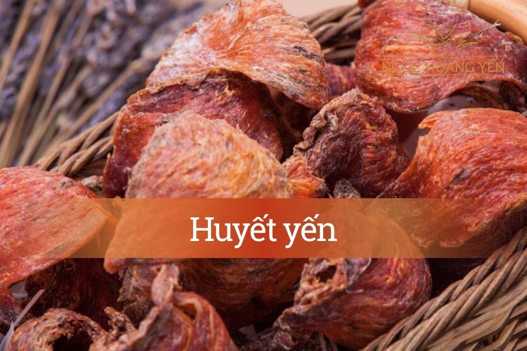 Hình ảnh huyết yến