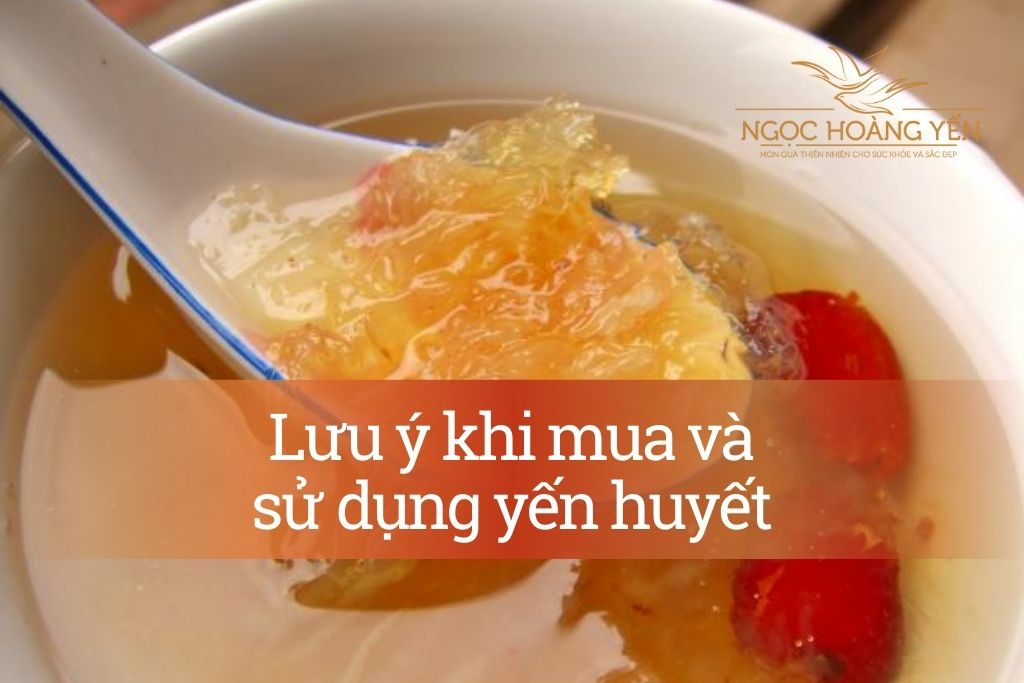 Lưu ý khi mua và sử dụng yến huyết