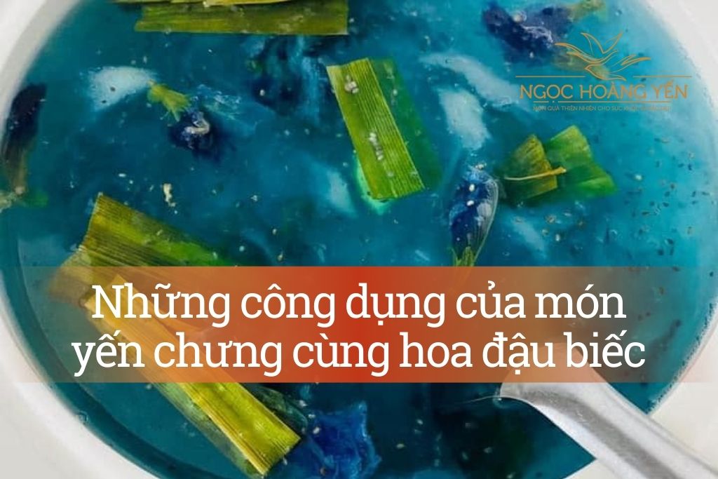 Những công dụng của món yến chưng cùng hoa đậu biếc