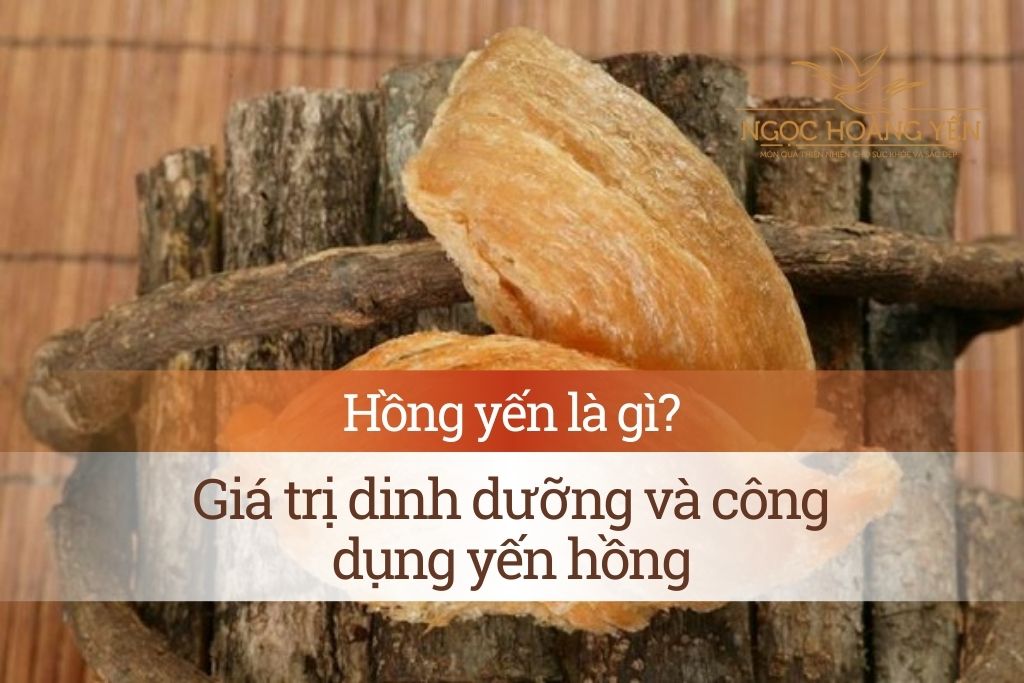 Hồng yến là gì? Giá trị dinh dưỡng và công dụng yến hồng