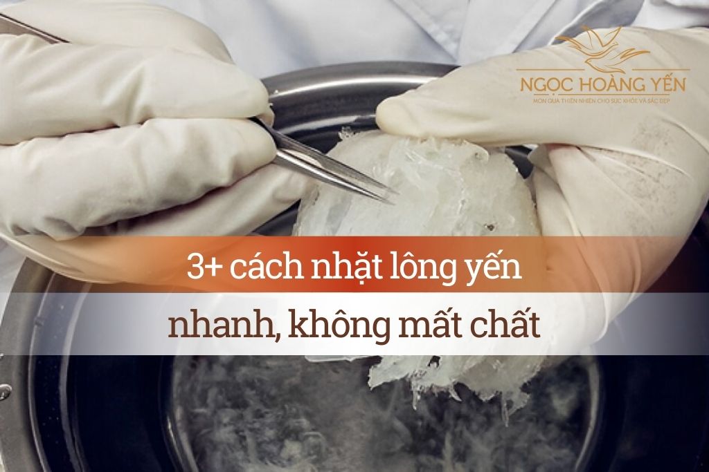3+ cách nhặt lông yến nhanh, không mất chất