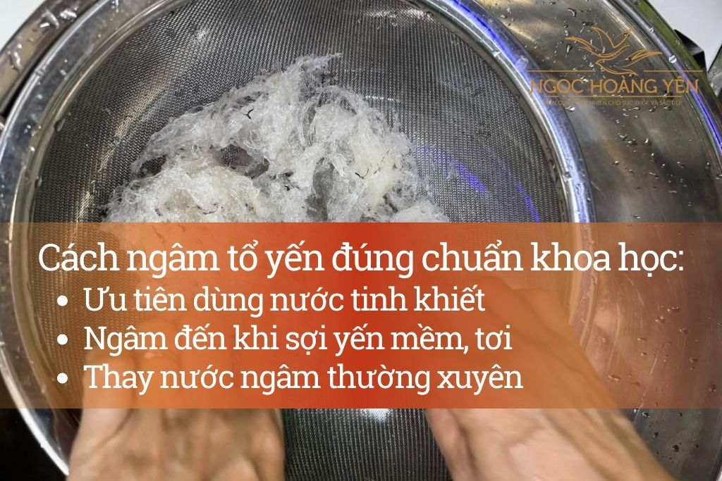 Cách ngâm tổ yến đúng chuẩn khoa học
