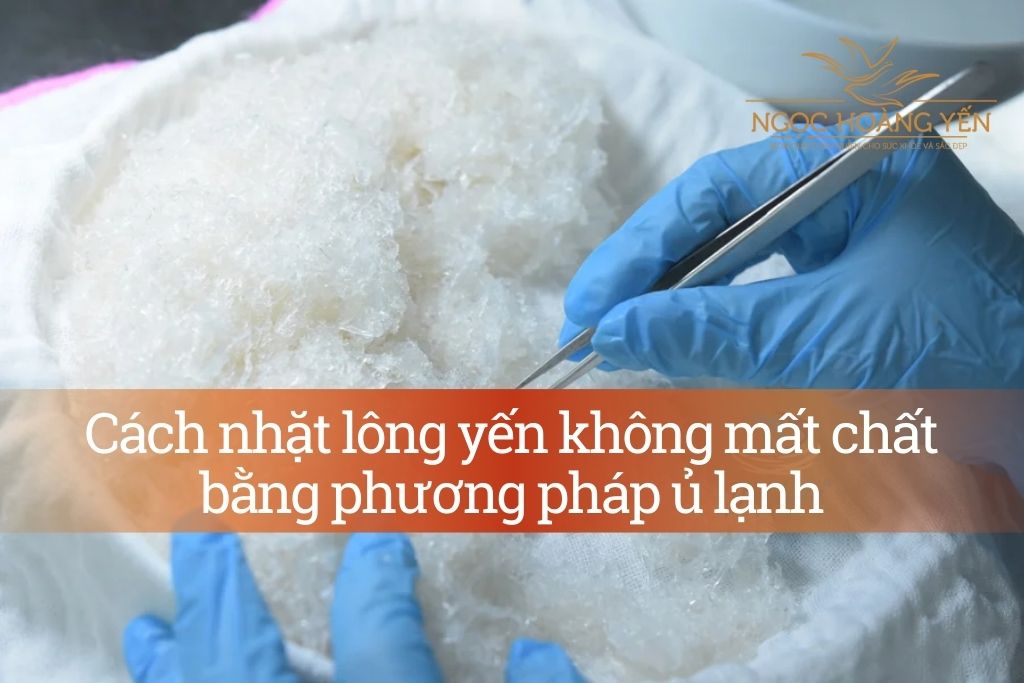 Cách nhặt lông yến không mất chất bằng phương pháp ủ lạnh