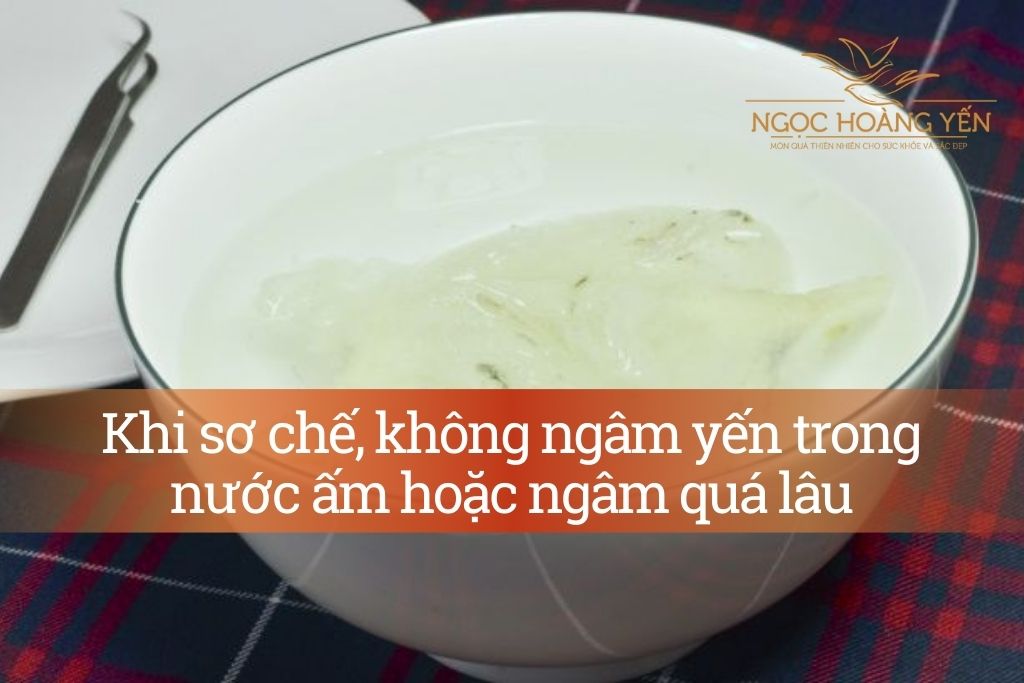 Khi sơ chế, không ngâm yến trong nước ấm hoặc ngâm quá lâu