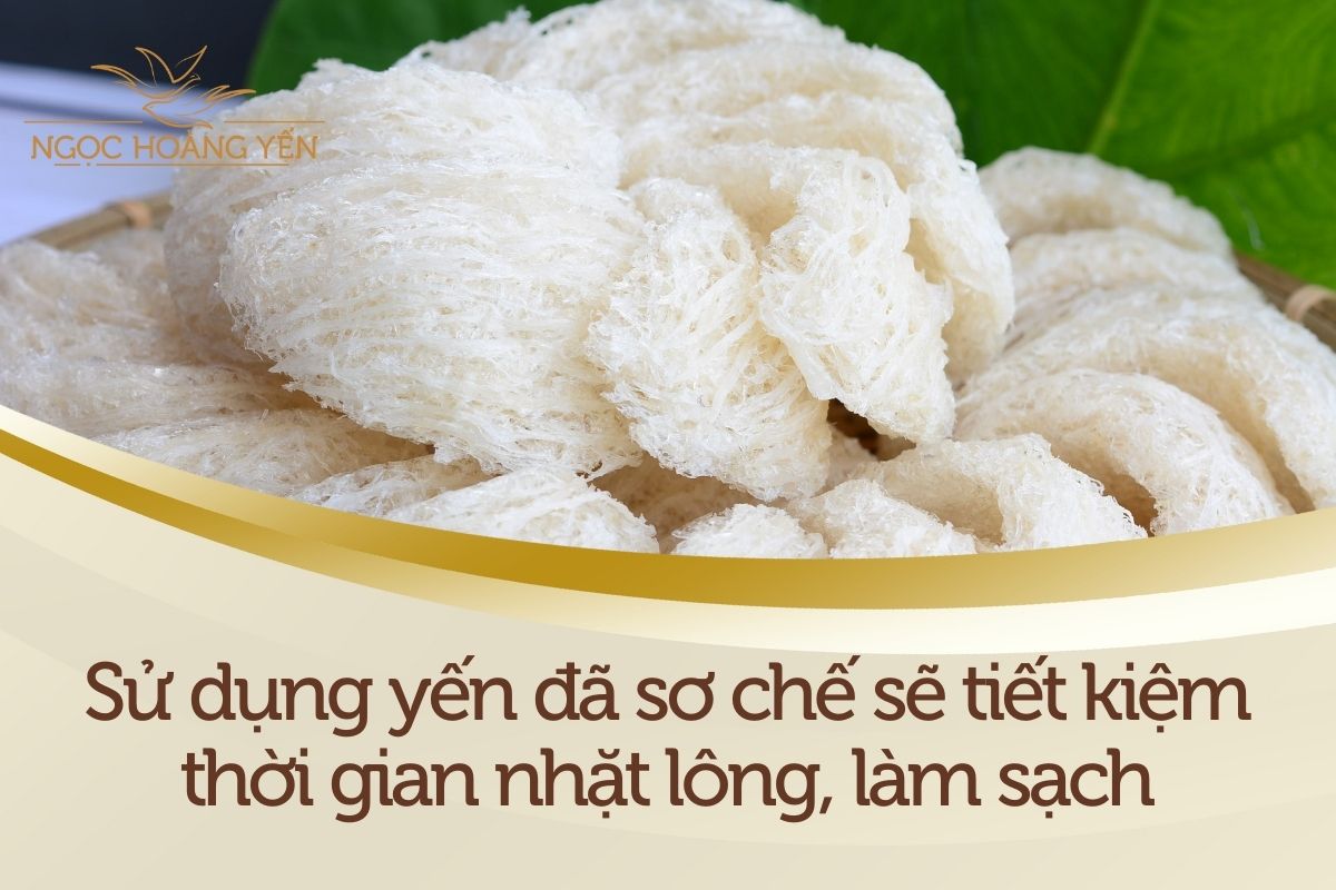 Sử dụng yến đã sơ chế sẽ tiết kiệm thời gian nhặt lông, làm sạch