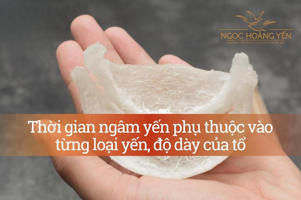 Thời gian ngâm yến phụ thuộc vào từng loại yến, độ dày của tổ