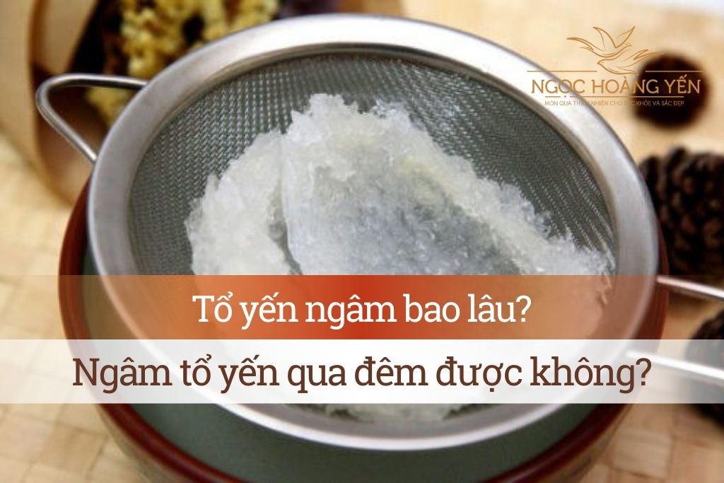 Tổ yến ngâm bao lâu? Ngâm tổ yến qua đêm được không?