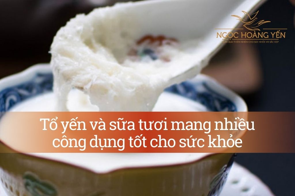 Tổ yến và sữa tươi mang nhiều công dụng tốt cho sức khỏe