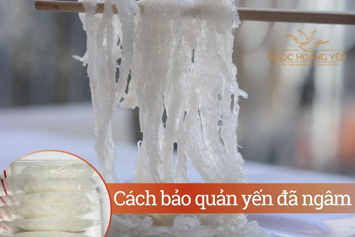 Cách bảo quản yến đã ngâm