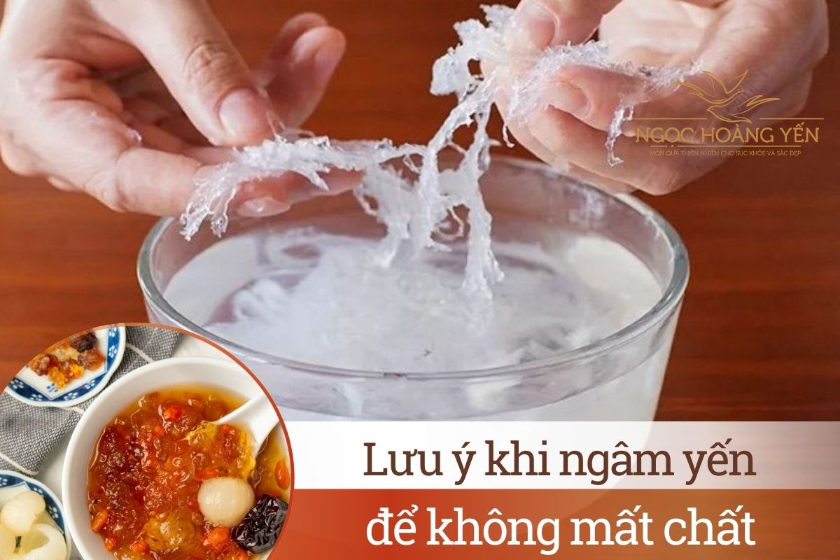 Lưu ý khi ngâm yến để không mất chất