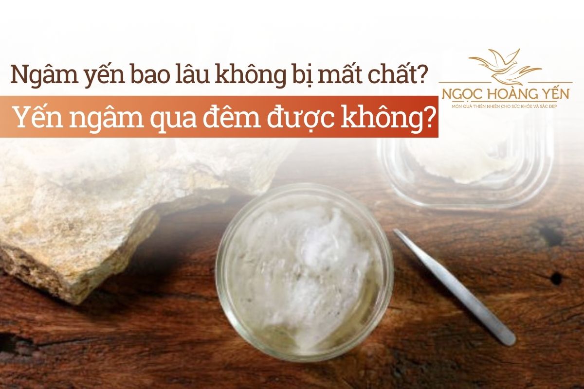 Ngâm yến bao lâu không bị mất chất? Yến ngâm qua đêm được không?