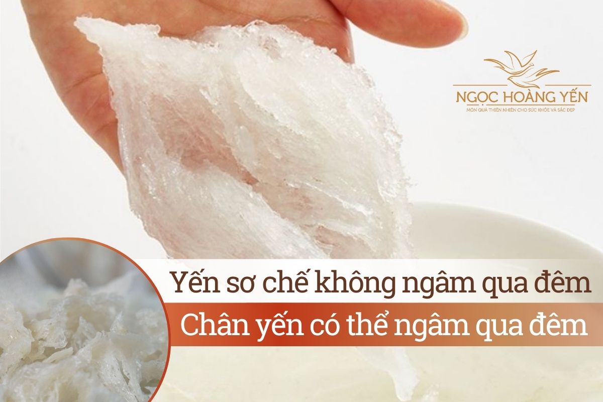 Yến sơ chế không ngâm qua đêm, chân yến có thể ngâm qua đêm