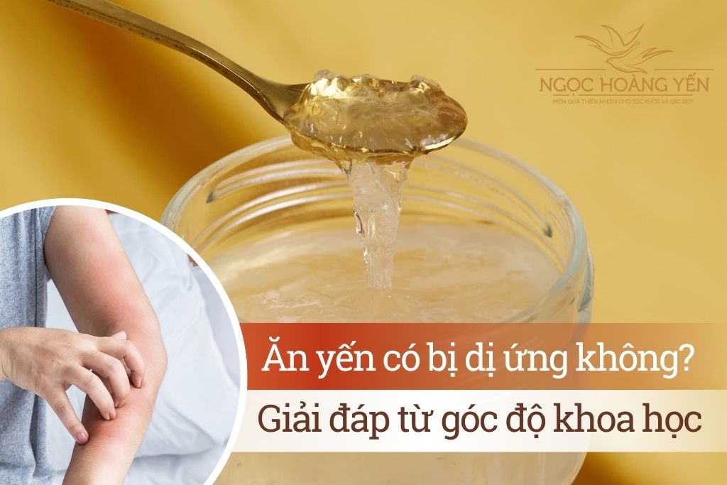 Ăn yến có bị dị ứng không? Giải đáp từ góc độ khoa học