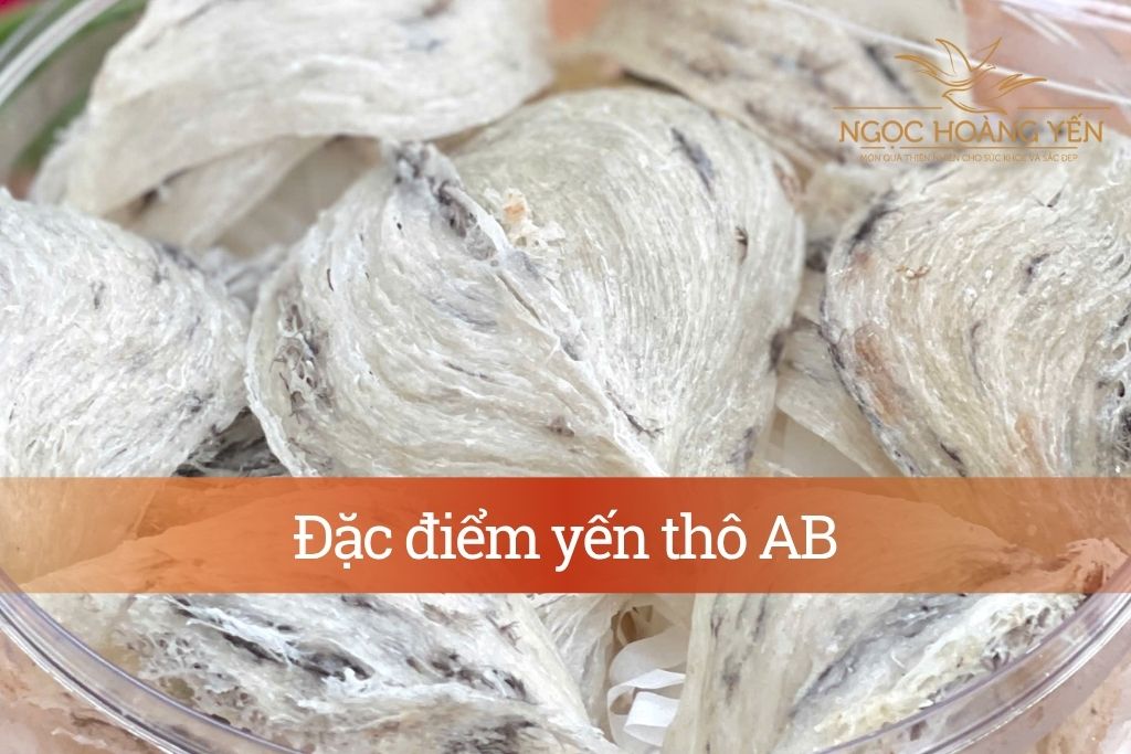 Đặc điểm yến thô AB