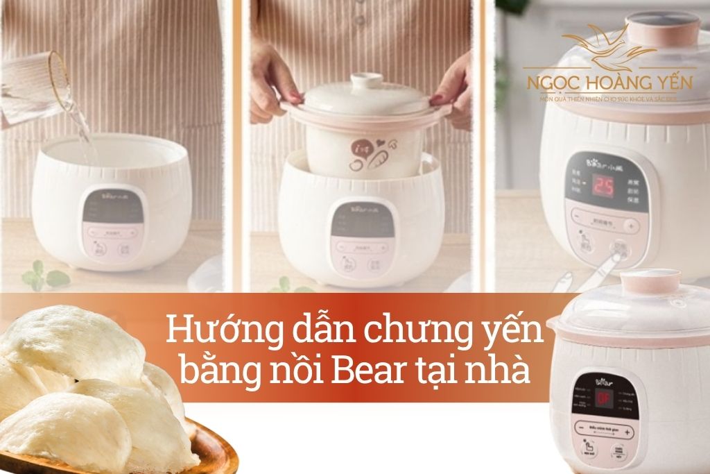 Hướng dẫn chưng yến bằng nồi Bear tại nhà