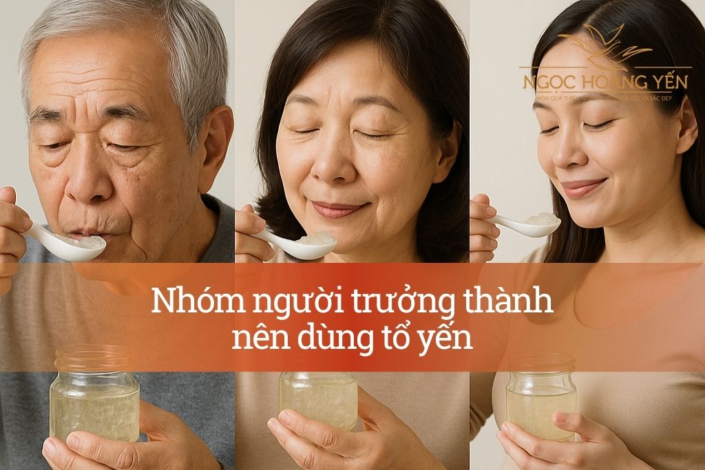 Nhóm người trưởng thành nên dùng tổ yến