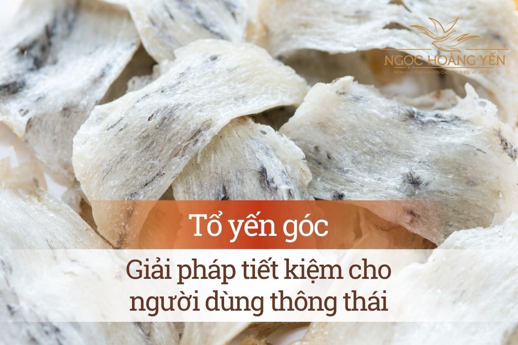Tổ yến góc - Giải pháp tiết kiệm cho người dùng thông thái